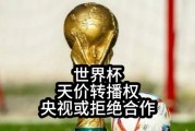 kaiyun-央视硬刚FIFA：这届世界杯，不陪你玩了|中国队|美加墨世界杯|国际足联|扩军|球迷_新浪体育_新浪新闻